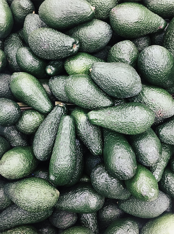 De lekkerste recepten met avocado